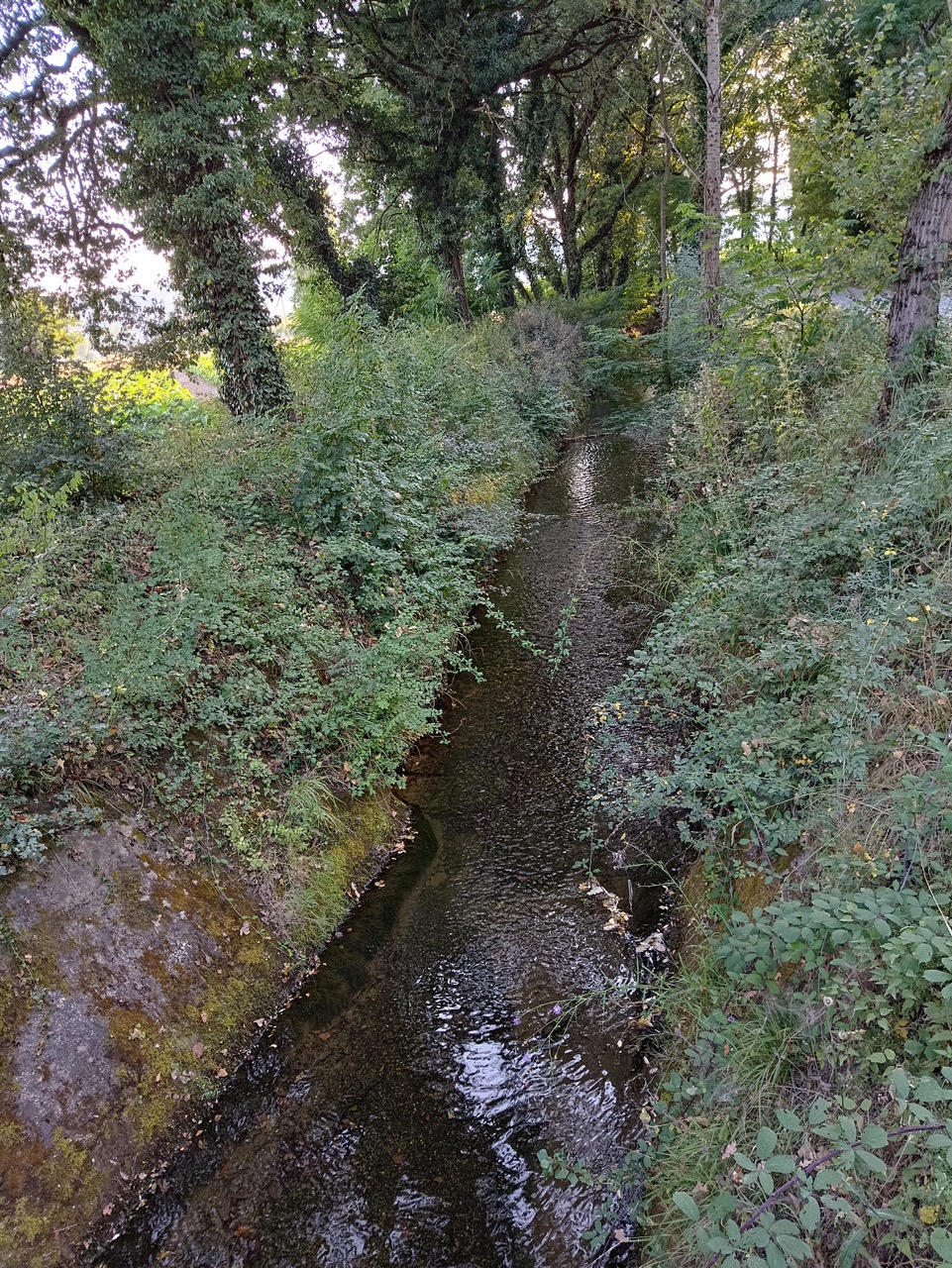 Il nuovo canale con l’acqua del Rimaggio