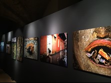 Un viaggio nel mondo della fotografia, inaugurata a Sansepolcro la mostra “Steve McCurry Icons” - Cultura | TTV.it