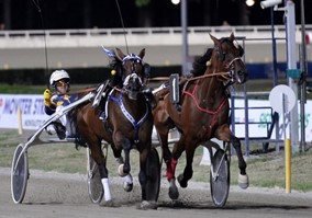 Altotevere all'ippodromo di Cesena - sabato 19 agosto premi dedicati al comune e alla mostra del cavallo 1 Altotevere all'ippodromo di Cesena - sabato 19 agosto premi dedicati al comune e alla mostra del cavallo - Attualità | TTV.it