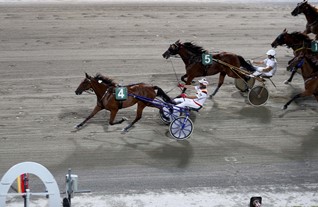 Altotevere al trotto all'ippodromo di Cesena. Pubblico delle grandi occasioni al "Savio" per la serata dedicata a Città di Castello e alla Mostra del Cavallo 1 Altotevere al trotto all'ippodromo di Cesena. Pubblico delle grandi occasioni al "Savio" per la serata dedicata a Città di Castello e alla Mostra del Cavallo - Attualità | TTV.it