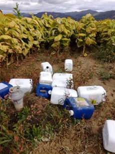 Taniche di pesticidi abbandonati nelle campagne sangiustinesi - Attualità | TTV.it