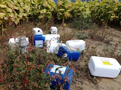 Taniche di pesticidi abbandonati nelle campagne sangiustinesi - Attualità | TTV.it
