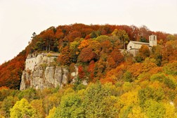 Rame, vinaccia, miele, ruggine e oro: i primi freddi accendono i colori delle foreste. Sette settimane d'autunno nei tre versanti del Parco Nazionale - Ambiente | TTV.it