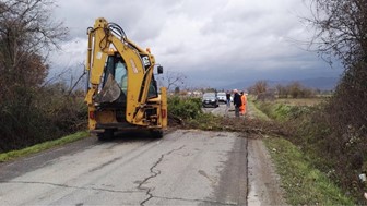 Strade bloccate da alberi caduti a San Secondo e Titta: squadre operative del comune al lavoro per ripristinare il traffico 2 Strade bloccate da alberi caduti a San Secondo e Titta: squadre operative del comune al lavoro per ripristinare il traffico - Attualità | TTV.it
