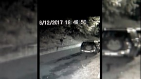 Ladro ripreso dalle telecamere di videosorveglianza di un'abitazione vicino al parco Roccolo - Attualità | TTV.it