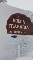 Neve sui monti nella notte. Apecchiese chiusa per un camion finito fuori strada. Viabilità sotto controllo per la giornata - Attualità | TTV.it
