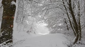Neve sui monti nella notte. Apecchiese chiusa per un camion finito fuori strada. Viabilità sotto controllo per la giornata - Attualità | TTV.it