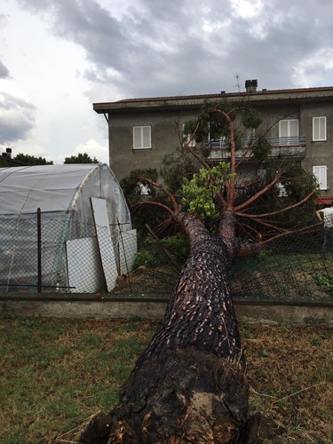 Un’ondata di maltempo, breve ma intensa, ieri pomeriggio ha creato non pochi disagi un po’ in tutta la vallata. 2 Un’ondata di maltempo, breve ma intensa, ieri pomeriggio ha creato non pochi disagi un po’ in tutta la vallata. - Attualità | TTV.it