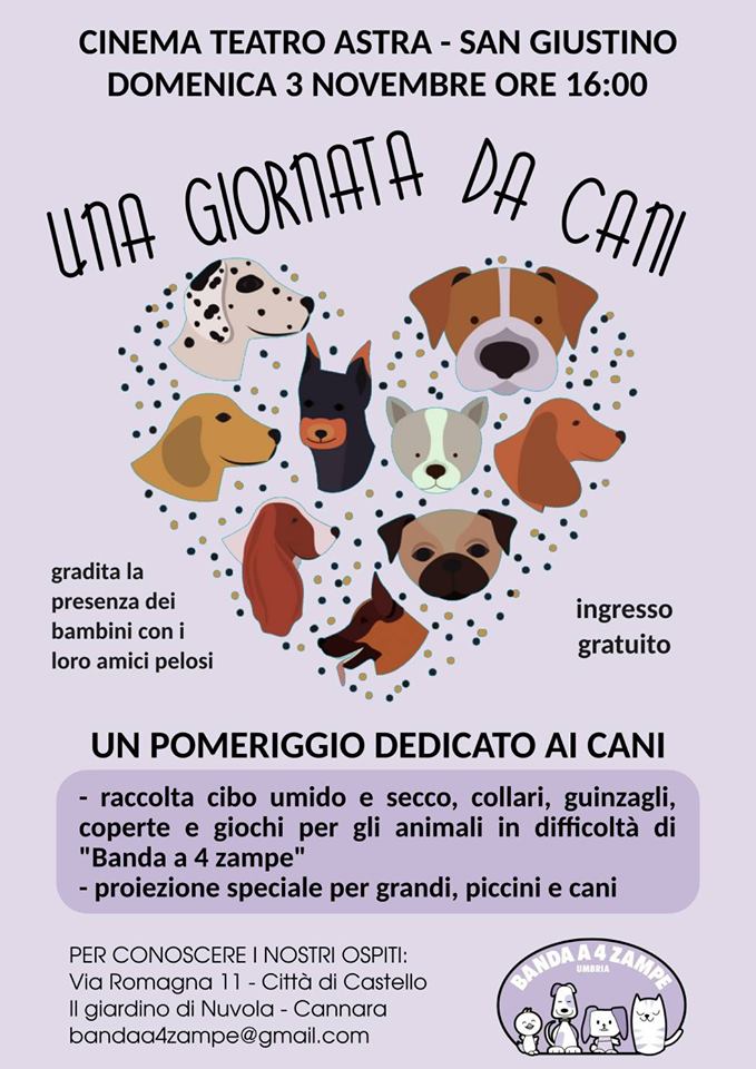 Una giornata da cani al Cinema Astra di San Giustino - Attualità | TTV.it