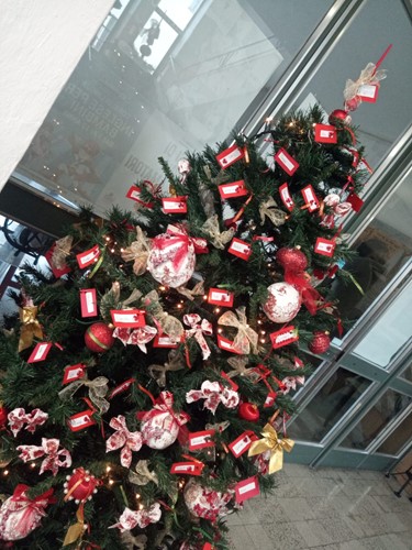 Natale e inclusione, la scuola Bufalini realizza un albero "multietnico" - Attualità | TTV.it