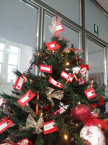 Natale e inclusione, la scuola Bufalini realizza un albero "multietnico" - Attualità | TTV.it