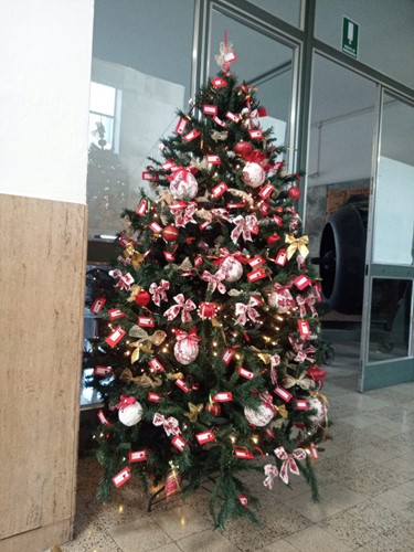 Natale e inclusione, la scuola Bufalini realizza un albero "multietnico" - Attualità | TTV.it