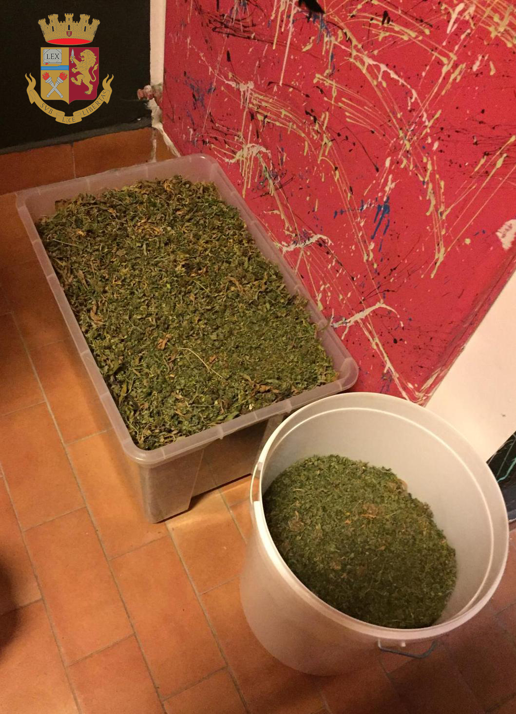2 chili e mezzo di droga nascosta in garage, arrestato 30enne perugino - Attualità | TTV.it