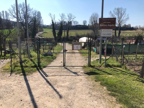 Coronavirus: salgono a 25 i contagi nel territorio di Città di Castello 1 Coronavirus: salgono a 25 i contagi nel territorio di Città di Castello - Attualità | TTV.it