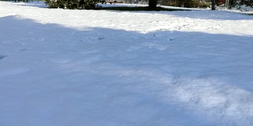 Neve sulla valle, disagi lungo le strade, E45 chiusa nella prima mattinata 2 Neve sulla valle, disagi lungo le strade, E45 chiusa nella prima mattinata - Ambiente | TTV.it