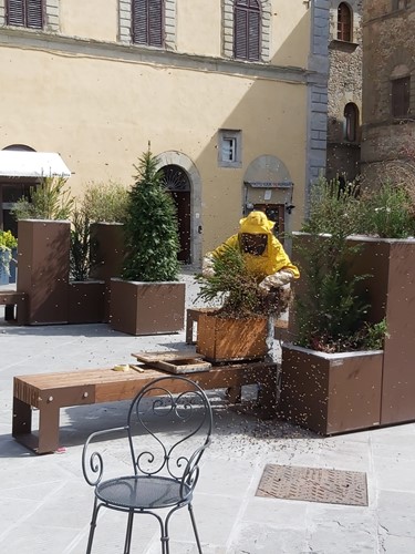 Centro storico vuoto, le api prendono possesso della piazza. A Sansepolcro uno sciame ha creato il panico nel pomeriggio 1 Centro storico vuoto, le api prendono possesso della piazza. A Sansepolcro uno sciame ha creato il panico nel pomeriggio - Attualità | TTV.it