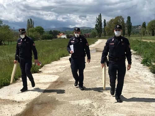Sequestrata dai carabinieri forestali una strada abusiva lungo la piana di Anghiari - Attualità | TTV.it