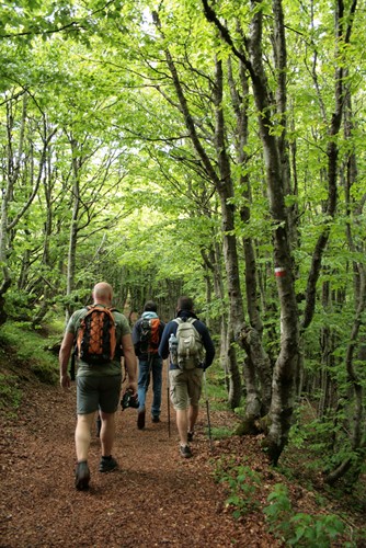 Un week end in piena sicurezza tra i colori della primavera del parco nazionale delle Foreste casentinesi 1 Un week end in piena sicurezza tra i colori della primavera del parco nazionale delle Foreste casentinesi - Ambiente | TTV.it