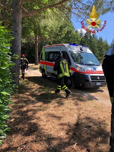 Cade da una pianta e rimane incastrato fra i rovi di una scarpata. Salvato ad Anghiari dall'elisoccorso Drago - Attualità | TTV.it