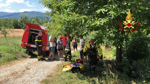 Cade da una pianta e rimane incastrato fra i rovi di una scarpata. Salvato ad Anghiari dall'elisoccorso Drago - Attualità | TTV.it