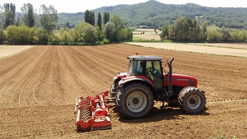OLIO DI GIRASOLE DA 110 E LODE IN COPERTINA – PRODOTTO DALL’AZIENDA FIORENZI 57 E’ STATO AL CENTRO DI UNA TESI DI LAUREA ALL’UNIVERSITA’ DI SIENA - Attualità | TTV.it