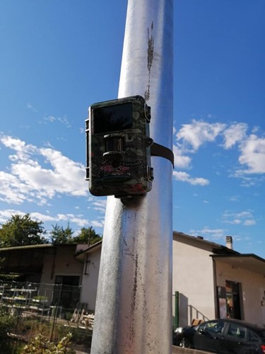 Fototrappole nel comune di Citerna, lotta a chi abbandona rifiuti 1 Fototrappole nel comune di Citerna, lotta a chi abbandona rifiuti - Attualità | TTV.it