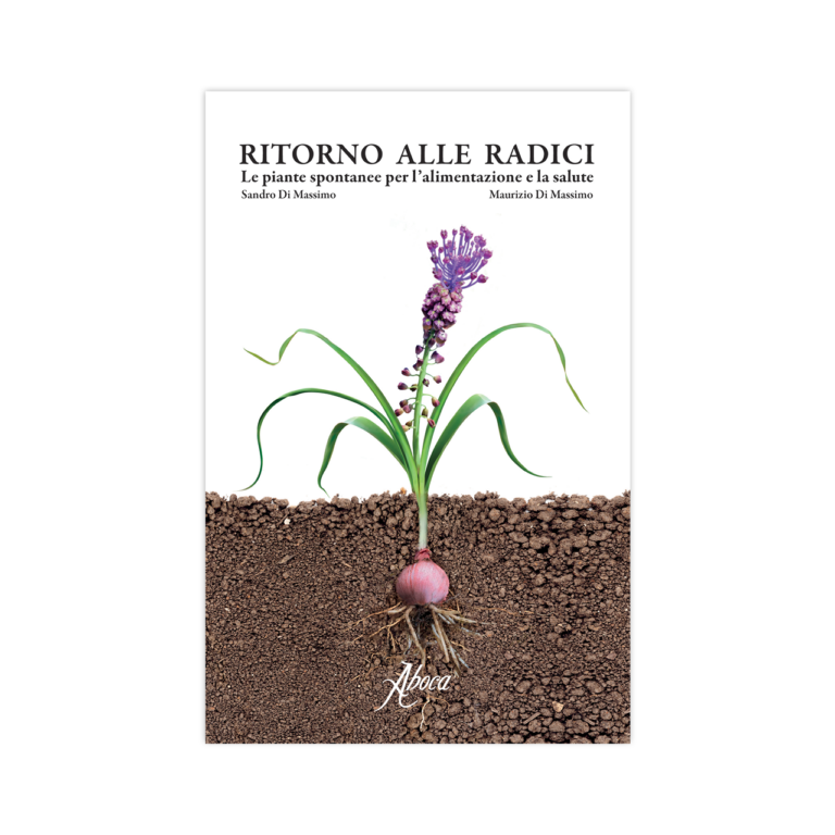 0001398_ritorno-alle-radici