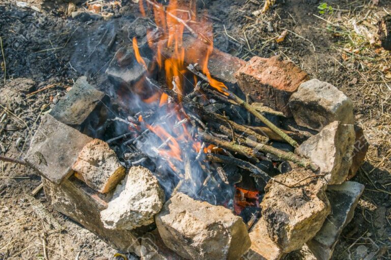 85105985-falo-divorziato-nella-foresta-fuoco-molto-caldo-caldo-giorno-d-estate