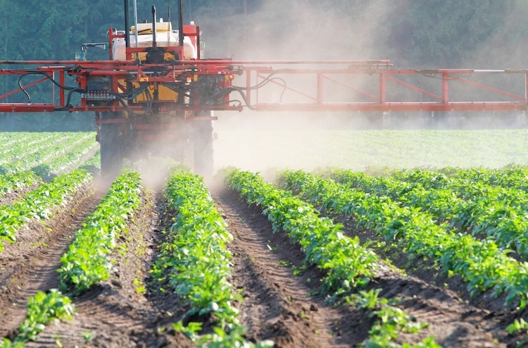 agrofarmaci-distribuzione