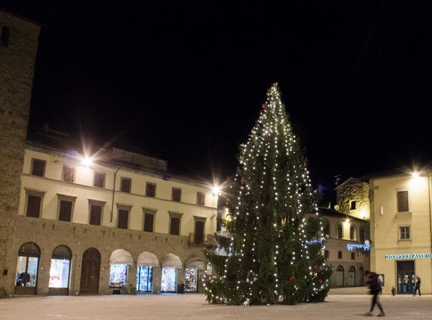 albero