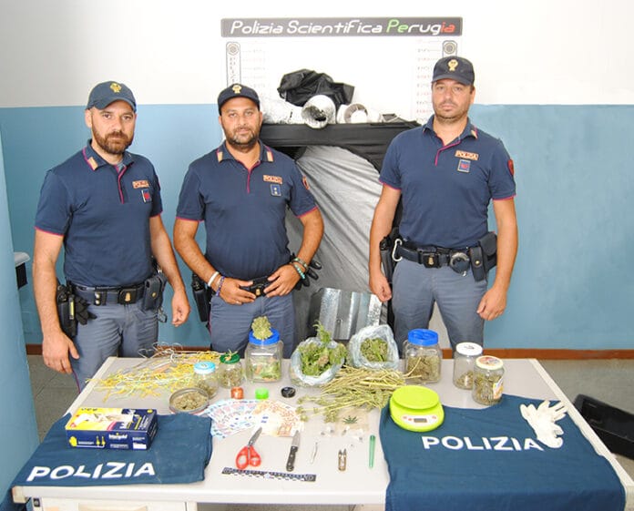 arresto-de-falco-recchia