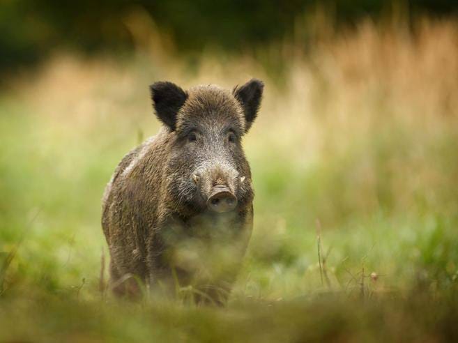 bf9ffd88-6a8c-11e5-b2f1-e50684c95593