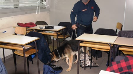 carabinieri-cani-antidroga-rimini-scuole