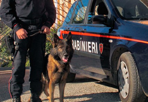 carabinieri-cinofili-ricerche