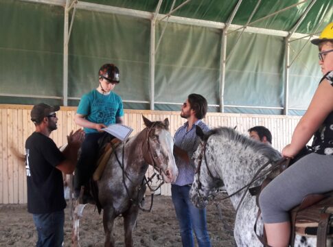 cavallo2ok