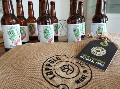 filiera-luppolo_birra