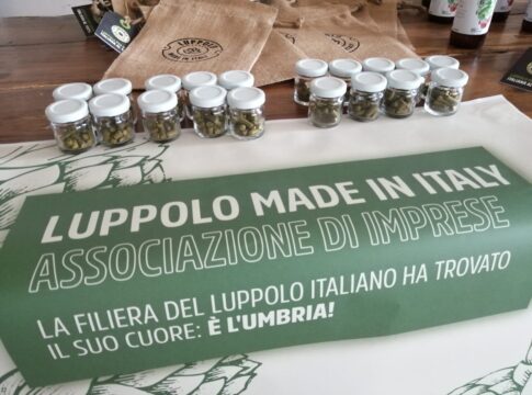 filiera-luppolo_luppolo