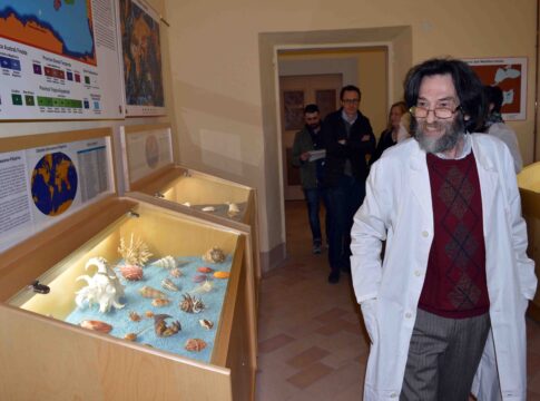 inaugurazione-museo-conchiglie_4 inaugurazione-museo-conchiglie_4