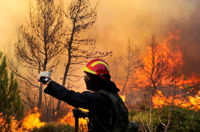 incendio-boschivo-vigili-del-fuoco
