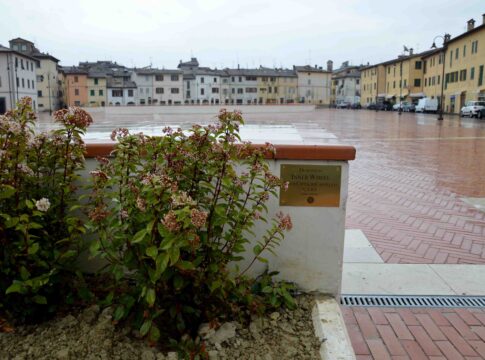 inner-wheel-piazza-dellarcheologia-5