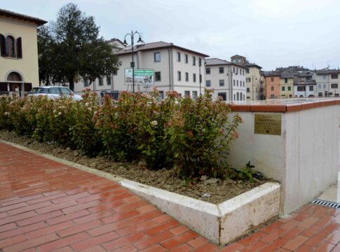 inner-wheel-piazza-dellarcheologia-7