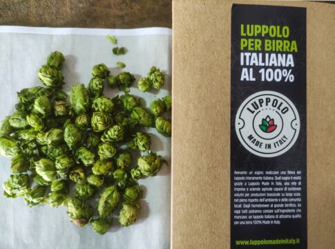 luppolo-made-in-italy