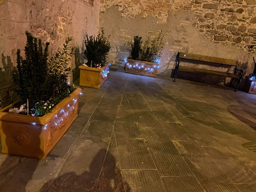 Un giardino in piazza Santa Marta per avverare il sogno di Rosa 2 Un giardino in piazza Santa Marta per avverare il sogno di Rosa - Attualità | TTV.it