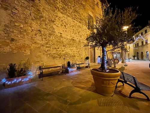 Un giardino in piazza Santa Marta per avverare il sogno di Rosa 1 Un giardino in piazza Santa Marta per avverare il sogno di Rosa - Attualità | TTV.it