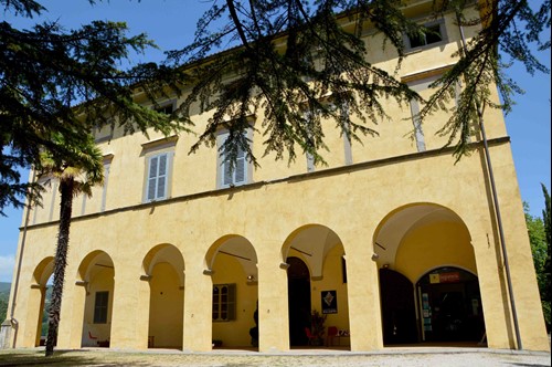 Il museo "Malakos" ospiterà i maggiori esperti al mondo di conchiglie 1 Il museo "Malakos" ospiterà i maggiori esperti al mondo di conchiglie - Cultura | TTV.it