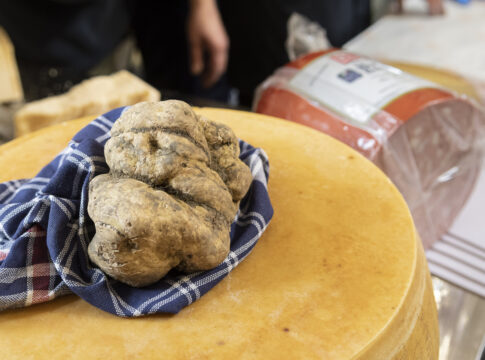milanesi_tartufo-bianco40ed_030 milanesi_tartufo-bianco40ed_030