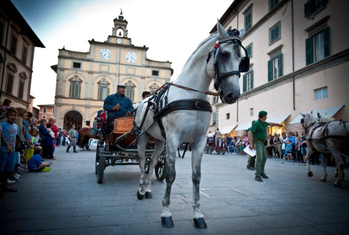 mostra-del-cavallo