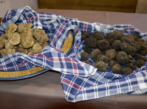 mostra-del-tartufo-2021-10