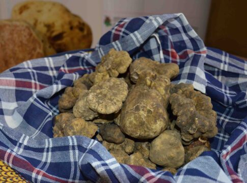 mostra-del-tartufo-2021-11