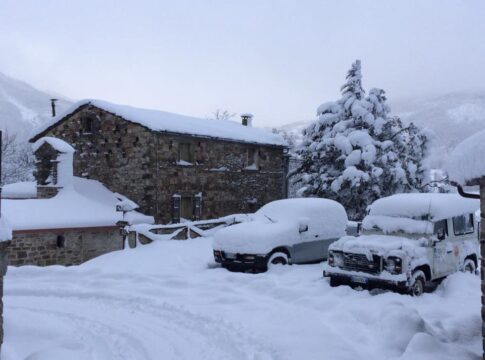 neve